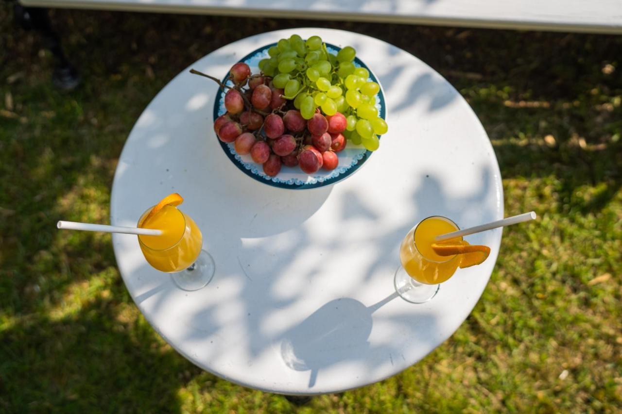 Apartman Lana Vidikovac ซาดาร์ ภายนอก รูปภาพ